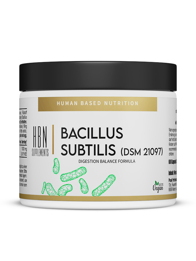HBN - Bacillus Subtilis (DSM 21097) - 60 Kapseln